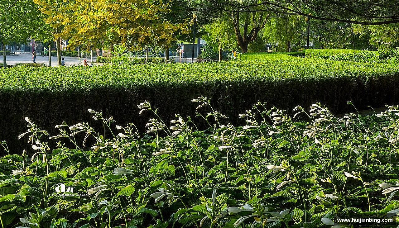 挑战自我，超越极限！